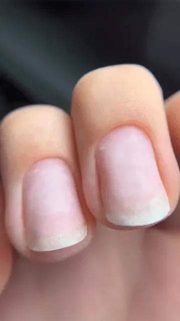 mani-expert-2